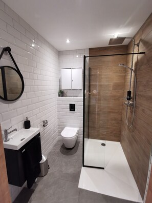 Bathtub, hair dryer, towels, toilet paper - Maison Moderne et Design en Plein Centre Alsace (Mackenheim)