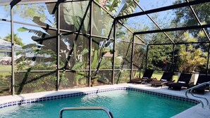 A swimming pool with a glass enclosure, surrounded by lounge chairs and tropical plants. - Pool Home next to Ritz and Vanderbilt beach (Naples)