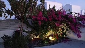 A garden with bougainvillea and a white building in the background. - JB VILLA ,Stunning Santorini Escape w/heated jacuzzi and enclosed garden. (SANTORINI AIGEAN GREECE)