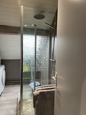 Shower, hair dryer