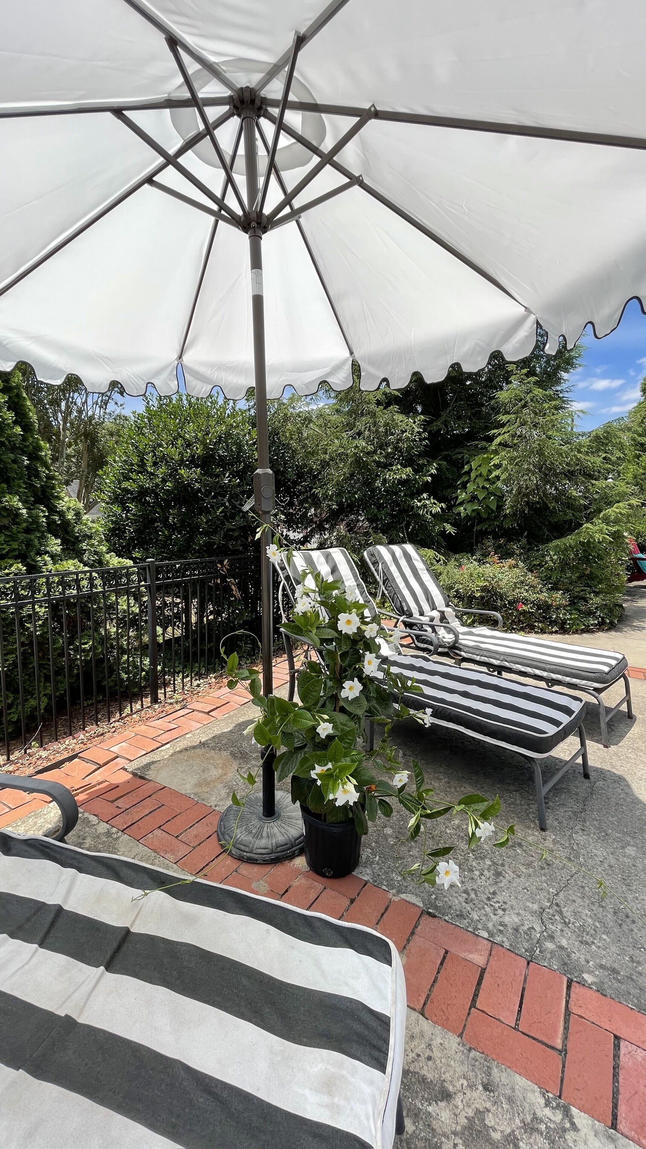 Eine Terrassenanlage mit gestreiften Liegestühlen, einem weißen Sonnenschirm und einem Topf mit weißen Blüten.