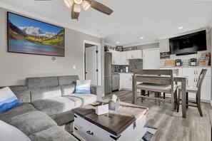 Smart TV, fireplace, books