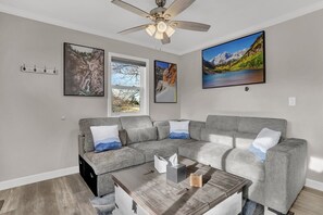 Smart TV, fireplace, books