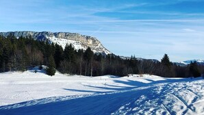 A snow-covered landscape with a mountain in the background and a clear sky. - Lodging in the woods (Les Deserts)