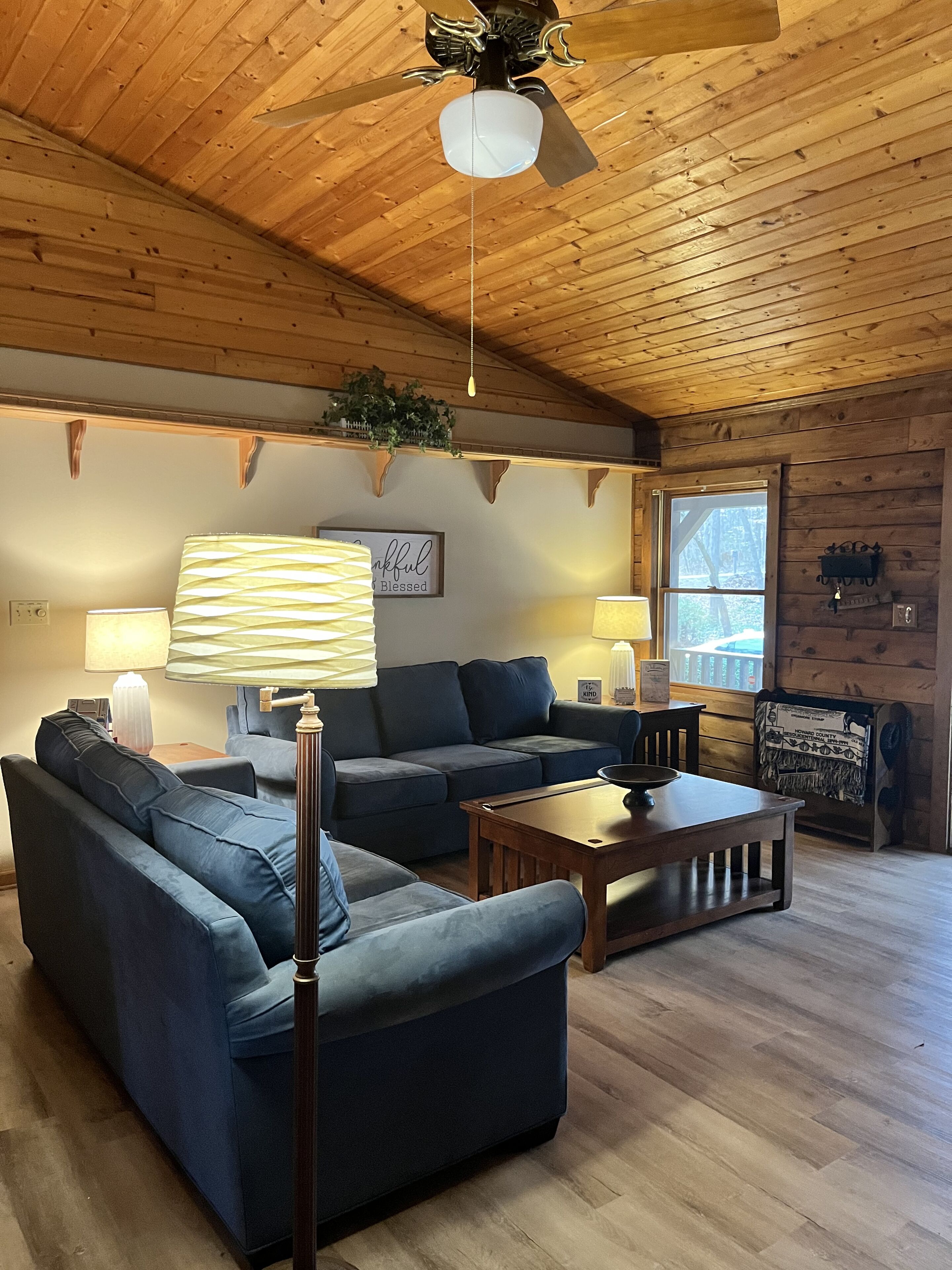 Smart TV, video games, table tennis, computer monitors