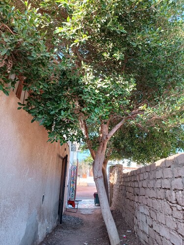 Private Studio in Dabab, 10 mins to sea