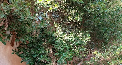 Private Studio in Dabab, 10 mins to sea