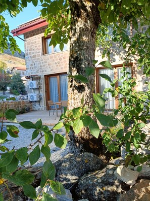 Détail de l’extérieur