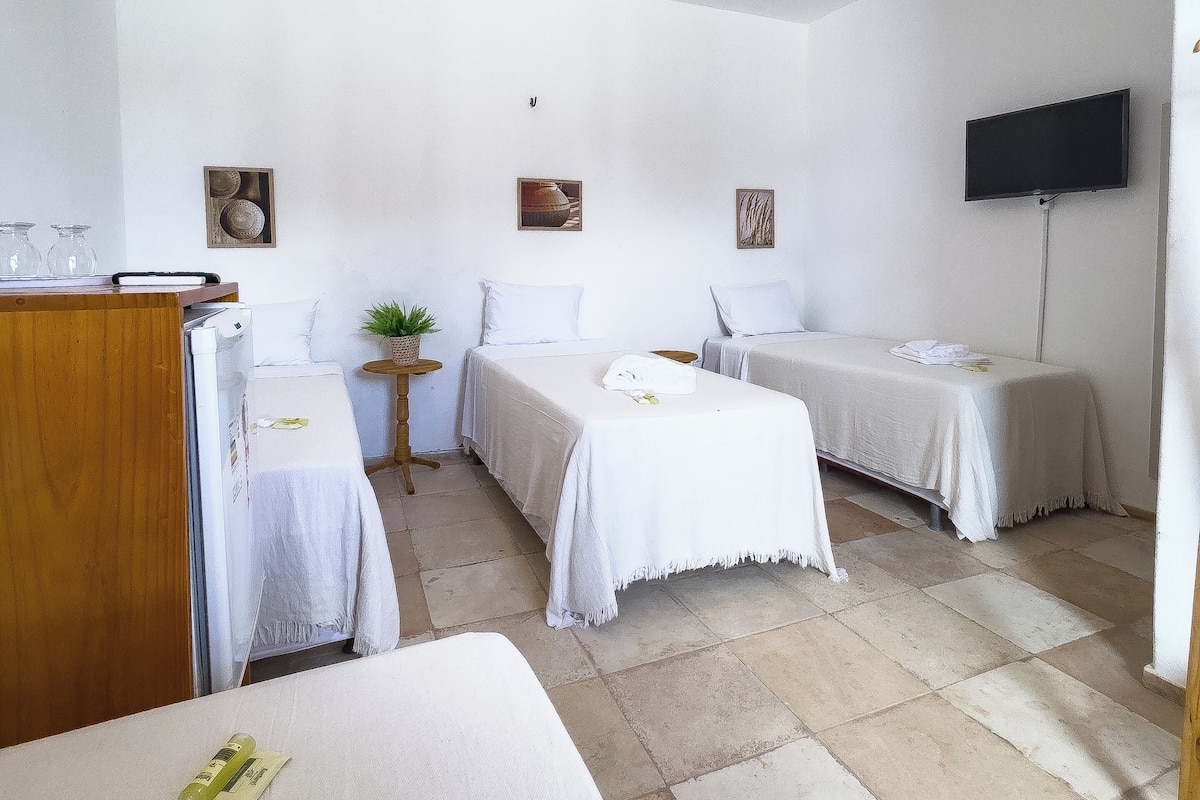 A hotel room with two beds, a desk, a TV, and a small table with a plant.
