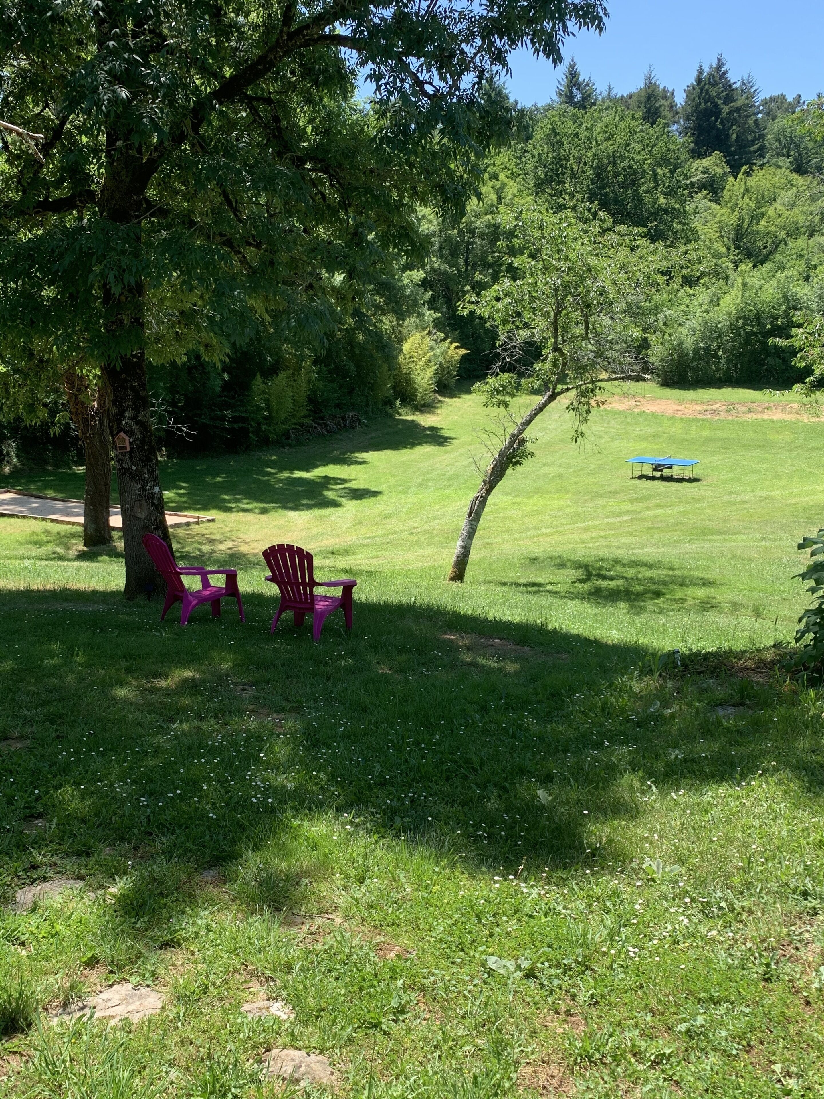 Un espace extérieur verdoyant, avec deux chaises Adirondack rouges placées sous un arbre, une table de ping-pong et une vue dégagée sur une zone boisée.