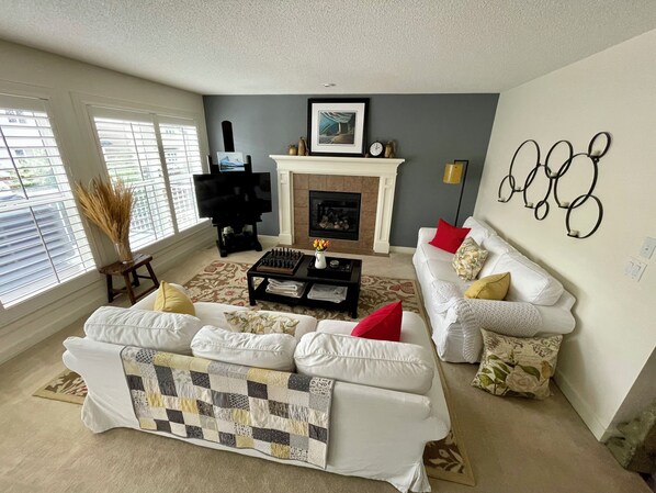 TV, fireplace, video games, DVD player