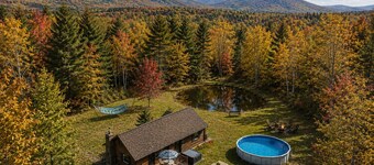 Bear House Catskills: Private Pool, Pond, Hot Tub, Fire Pit, Dog-Friendly