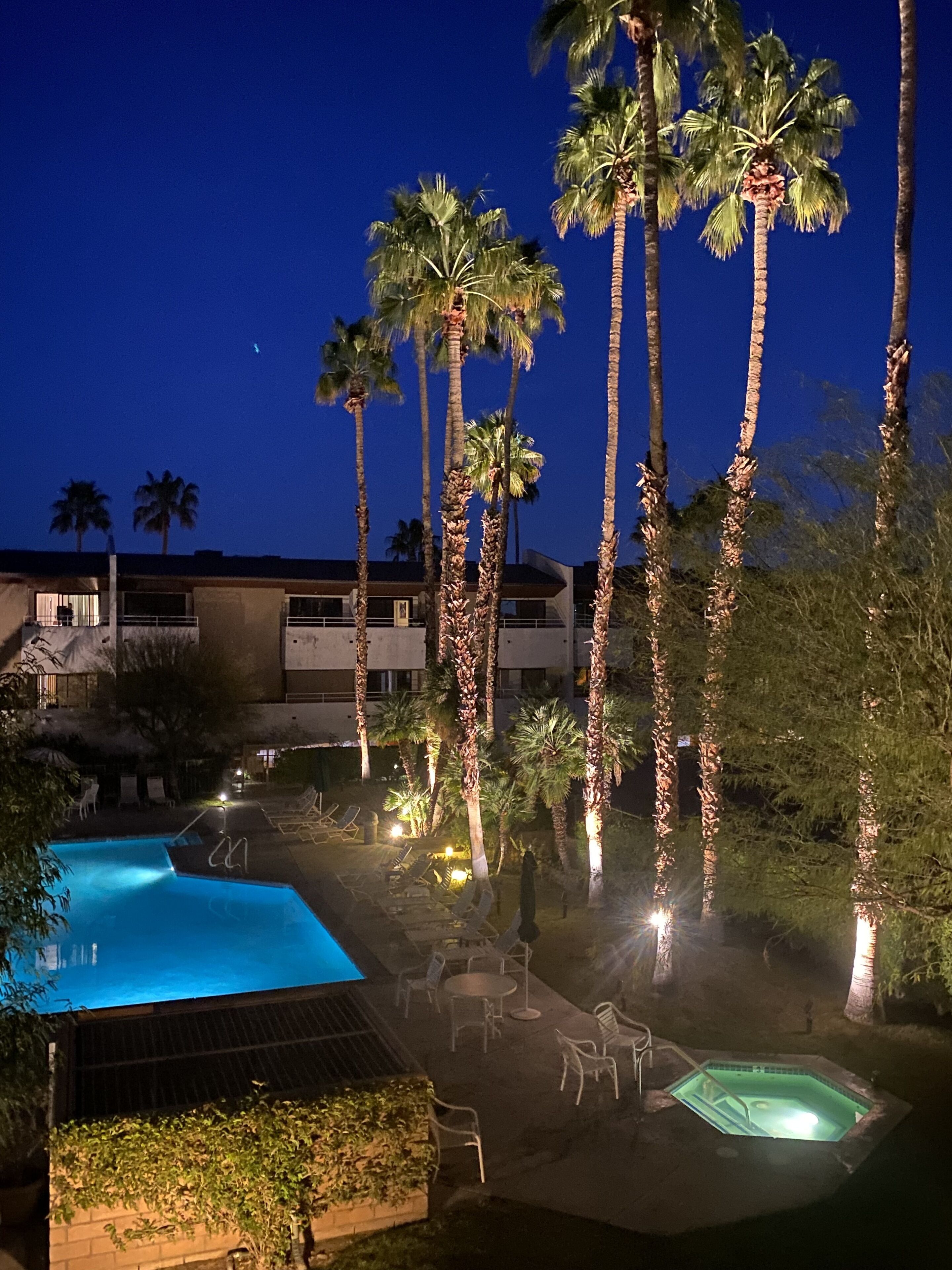 Beautiful Downtown Condo