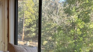 A bed with a herringbone-patterned cover, two pillows, and a view of a forest through a large window. - Spacious Secluded Cabin on 9 acres Hot Tub Outdoor Dining Private Trails (Idyllwild-Pine Cove)