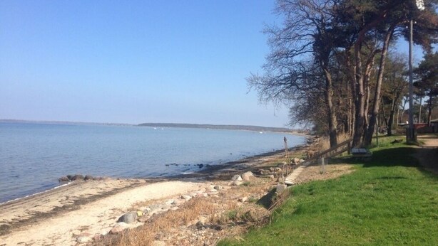 A beach with a grassy area, trees, and a clear sky. - "Haus Seegang" approx. 100 sqm, close to the beach and with a large garden (Neubukow)