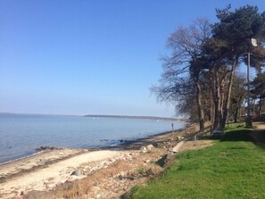 Una spiaggia con una zona erbosa, alberi e un cielo sereno.