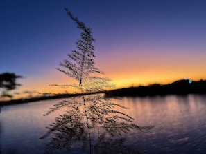 A single tree branch silhouetted against a sunset over a calm body of water.