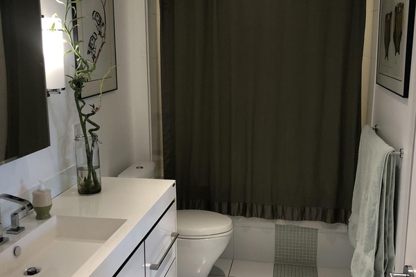 Rainshower and deep soaker tub. Shower stool in hall closet if needed