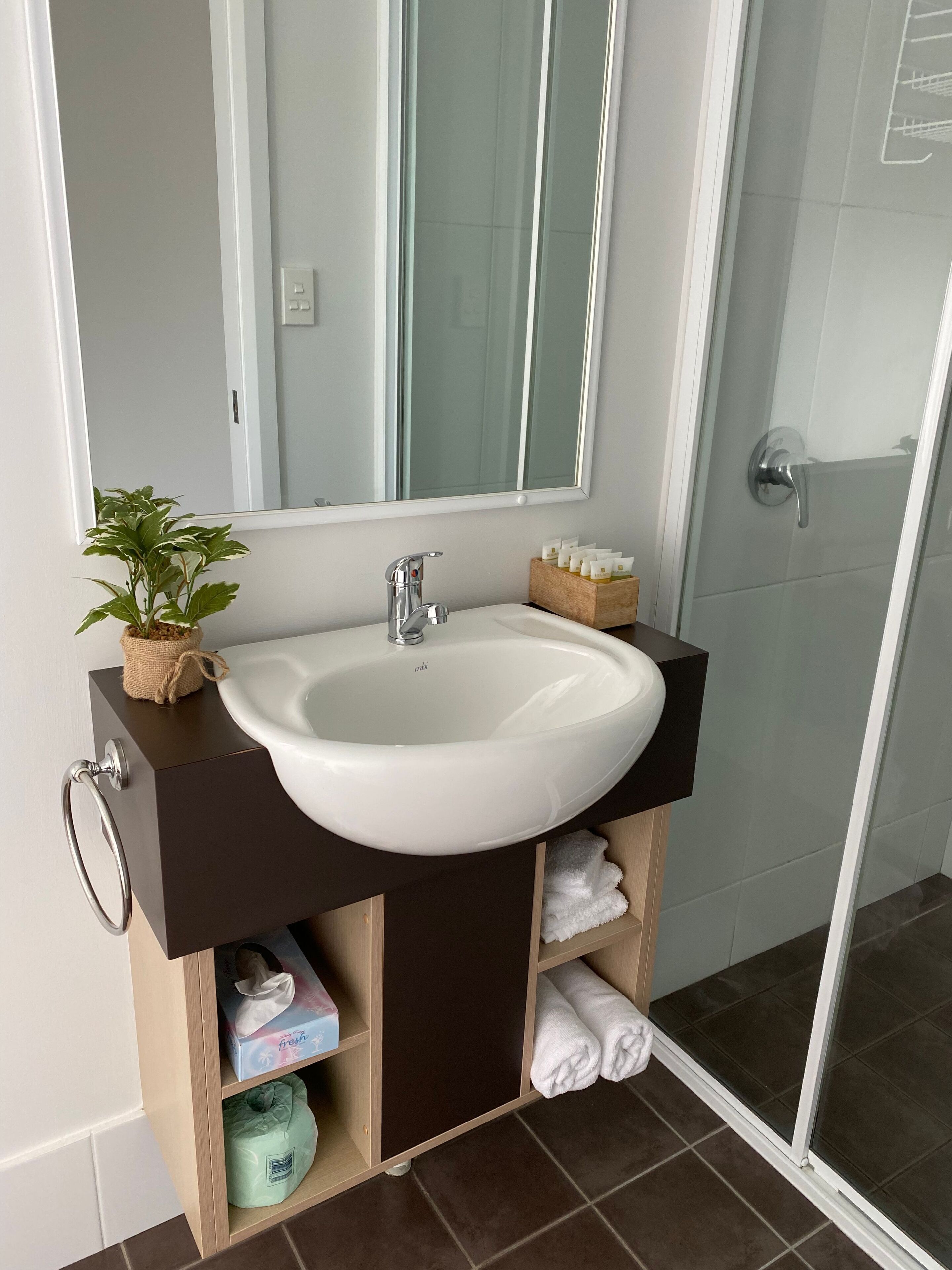 A bathroom with a white sink, a mirror, a potted plant, and a towel rack.
