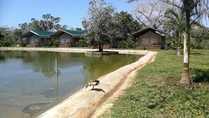 Property grounds - 2x divided apartments in the adjoining house with xx sqm - in the "Forest Dream Resort" (Diani Beach)