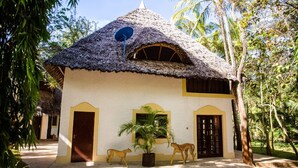 A thatched-roof building with two doors and a satellite dish.