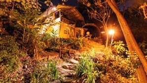 Uma casa com telhado de palha, rodeada por vegetação exuberante e um pequeno lago.
