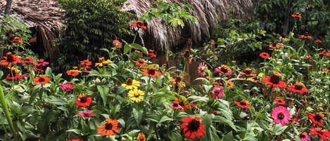 A thatched-roof structure surrounded by a variety of colorful flowers.