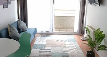 Santiago Centro, Bellas Artes