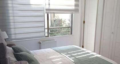 Santiago Centro, Bellas Artes