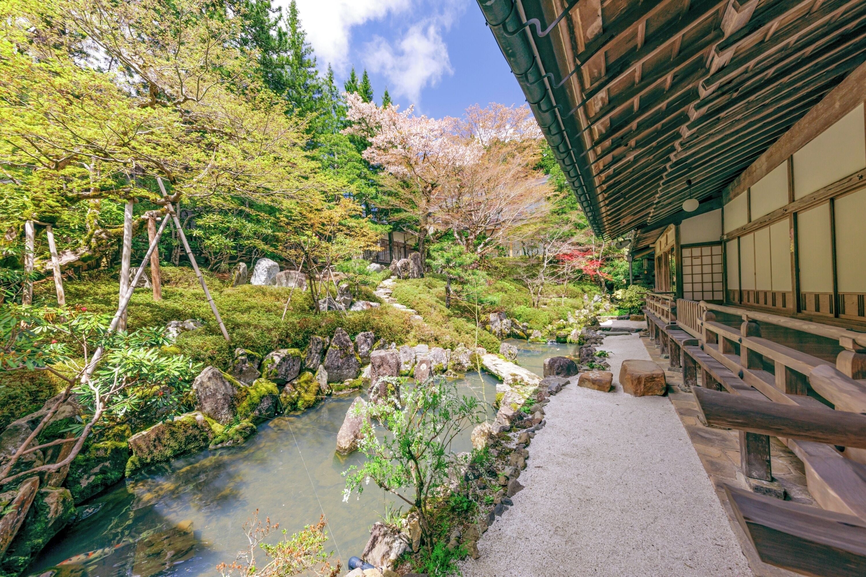 A traditional Japanese garden with a stone pathway, a small stream, and cherry blossoms.