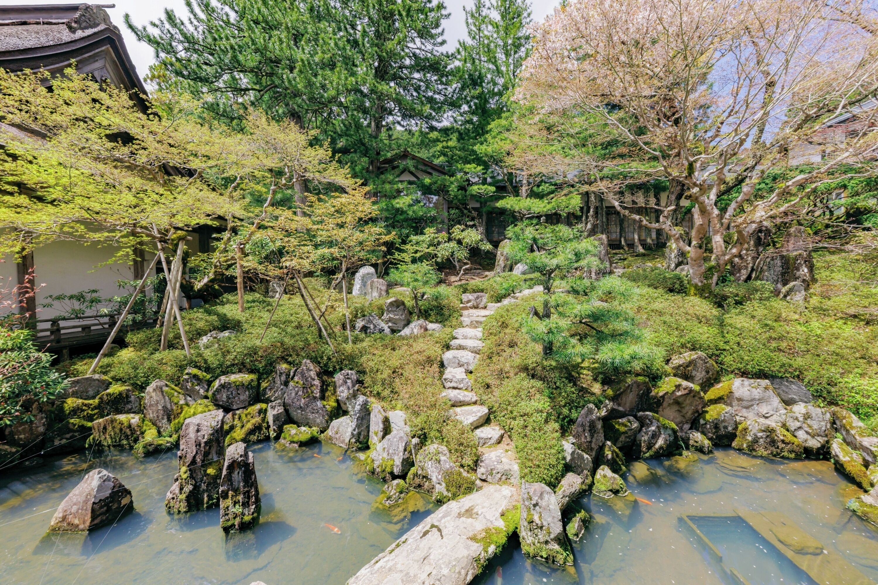 Un giardino giapponese tradizionale con un sentiero in pietra, rocce ricoperte di muschio e diverse piante.