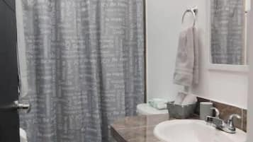 Regadera, secadora de cabello, toallas, jabón