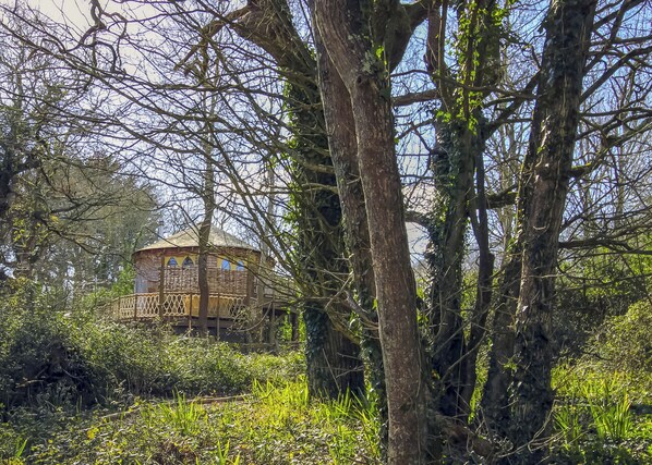 Exterior - Woodside Bay Treehouse (Wootton Bridge, Nr Cowes)