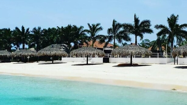 A beach with thatched umbrellas and palm trees.