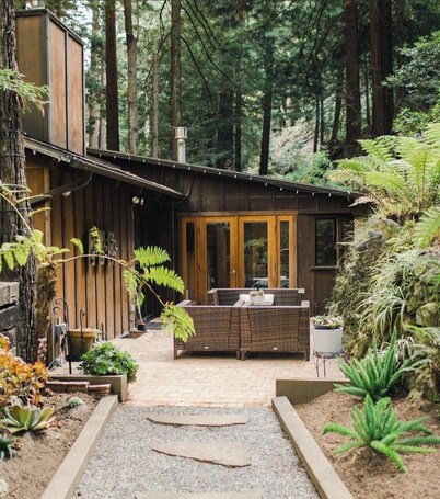 Cabin Nestled in Forested Canyon