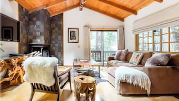 Älytelevisio, takka, videopelejä, kirjoja