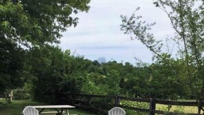 An outdoor seating area with four Adirondack chairs and a picnic table, surrounded by a wooden fence and lush greenery. - Farmhouse Cottage local Horse farms, Distilleries, Winery Tours, walking trails. (Frankfort)