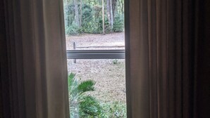 A window with curtains, a view of a forested area, and a metal railing outside. - Country Retreat in North Central FL Oasis w/ Firepit, WiFi & Nearby Springs (Old Town)