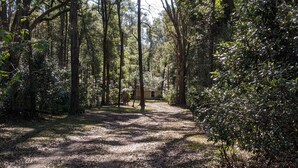 A forested area with a dirt path leading to a building. - Country Retreat in North Central FL Oasis w/ Firepit, WiFi & Nearby Springs (Old Town)