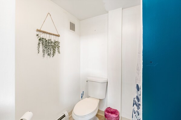 A small bathroom with a toilet, a hanging plant, and a blue accent wall.