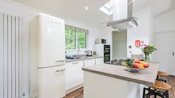 Fridge, oven, stovetop, dishwasher