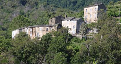 Dans le Décor du Roman Culte Mal'concilio