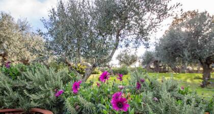 Casale Vincenzo by Interhome