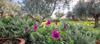 Casale Vincenzo by Interhome