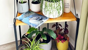 Ett plantställ i flera våningar med olika krukväxter, böcker och dekorativa föremål.