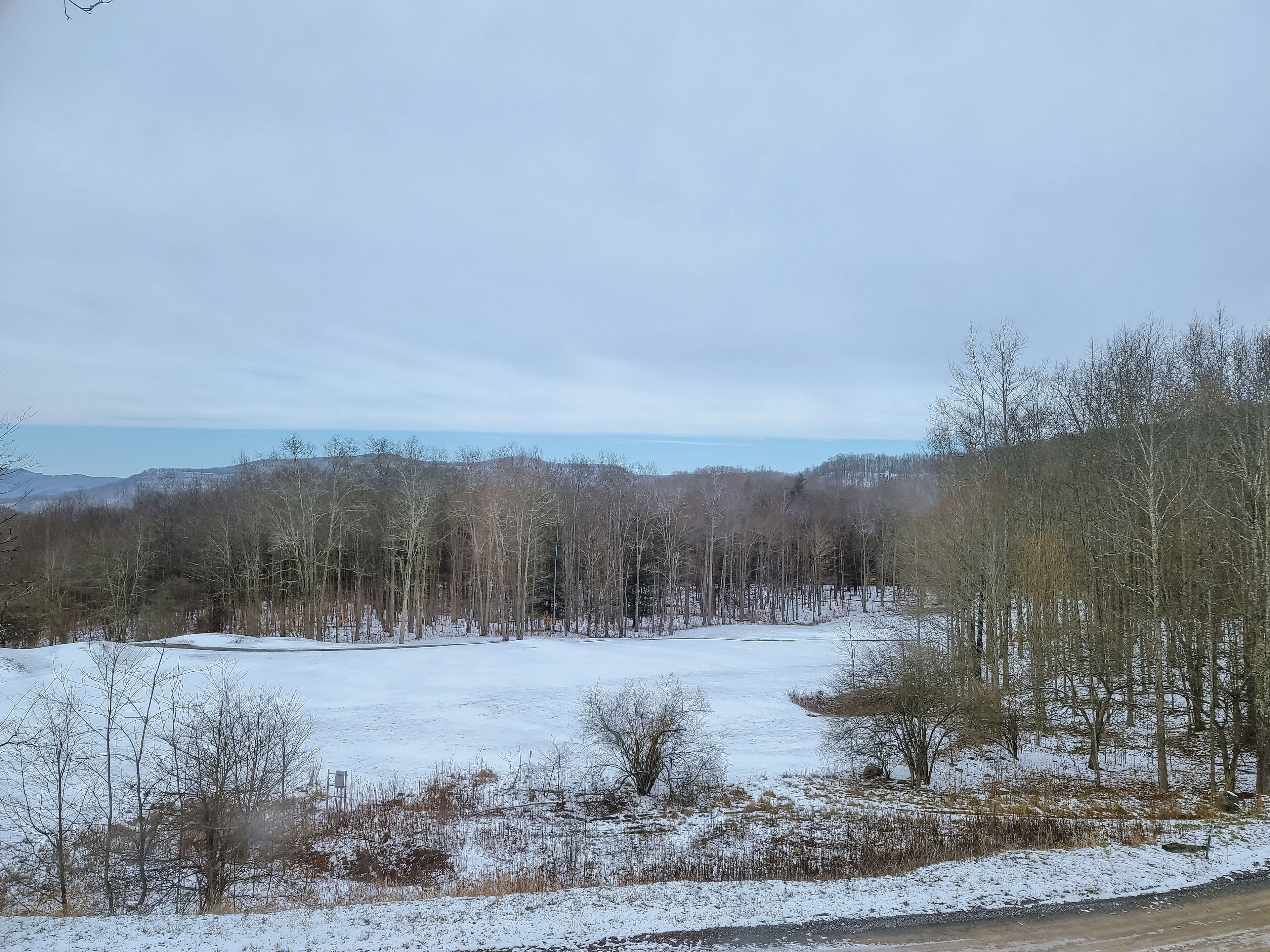 A snowy landscape with a road and trees.