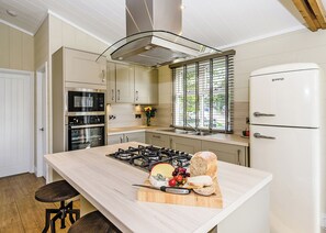 Fridge, oven, stovetop, dishwasher