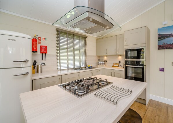 Fridge, oven, stovetop, dishwasher