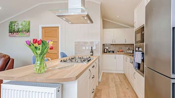 Fridge, oven, stovetop, toaster