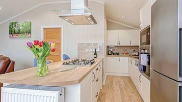 Fridge, oven, stovetop, toaster